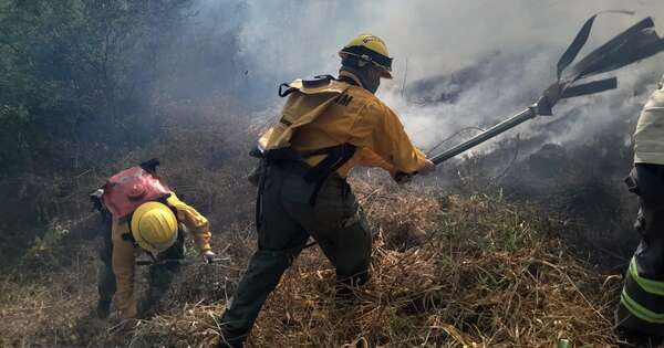 La Nación / Infona reporta 43 fuegos activos que afectan a bosques y áreas silvestre protegidas