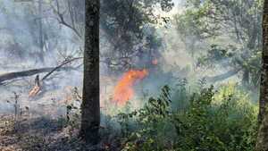 Incendios avanzan en cerro de Caacupé y predio de 50 hectáreas en Misiones
