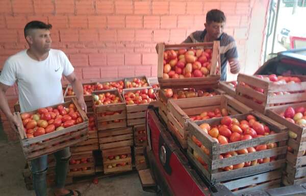 Tomates de contrabando inundan el país - Economía - ABC Color