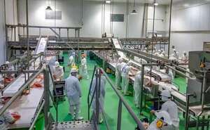 Productores de cerdo piden al Gobierno que intervenga BNF - Economía - ABC Color