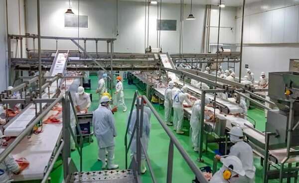 Productores de cerdo piden al Gobierno que intervenga BNF - Economía - ABC Color