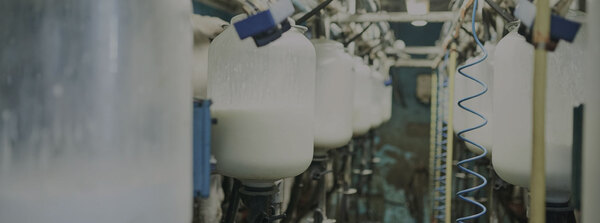 Bajo consumo per cápita, demanda de innovación y diversificación: Cómo se está transformando la industria láctea paraguaya - MarketData