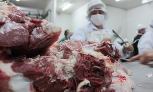 Cinco frigoríficos acumulan más del 60% del total faenado en el año 2024