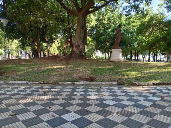 Asunción de Nenecho: limpian plazas, pero se olvidan del microcentro - Nacionales - ABC Color