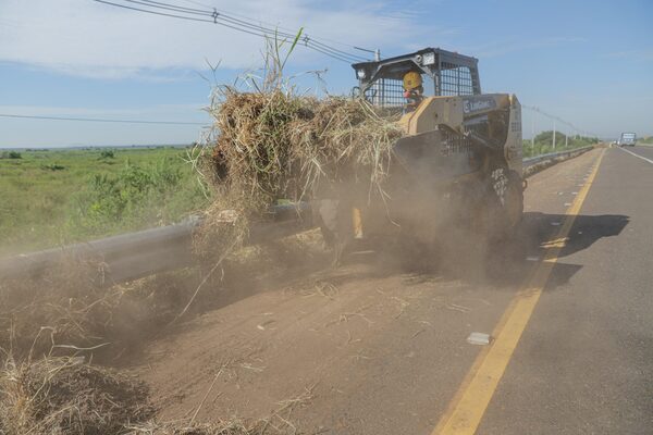 Siguen trabajos de limpieza en el tramo Luque-San Bernardino para mejorar seguridad vial - .::Agencia IP::.