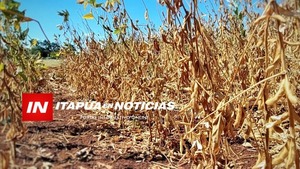 GRAVE SEQUÍA AFECTA A PRODUCTORES DE ITAPÚA - Itapúa Noticias