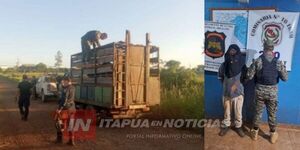 APREHENSIÓN E INCAUTACIÓN DE CAMIÓN CON GANADO EN FRAM - Itapúa Noticias