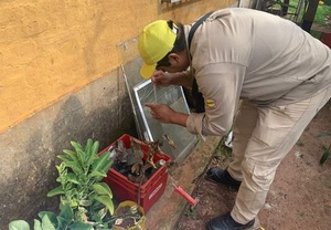 Senepa reporta 74 notificaciones de sospecha de dengue en Itapúa en lo que va del año