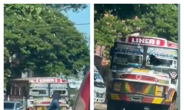 (Video) ¡Nervia total! rompió el parabrisas de colectivo porque le rozó