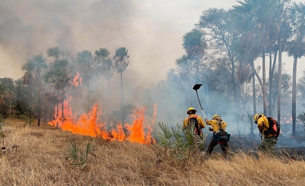Registran 631 focos de calor y más de 2.800 hectáreas afectadas
