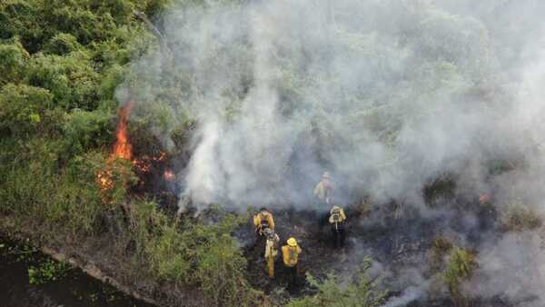 Incendios forestales consumieron casi 11.000 hectáreas en la primera semana del año