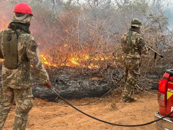 Infona reporta más de 10.000 hectáreas afectadas por incendios forestales - .::Agencia IP::.