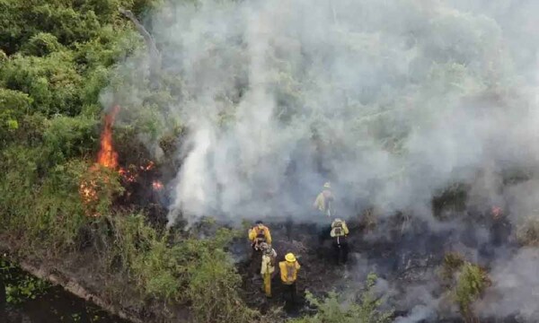 Incendios forestales consumieron casi 11.000 hectáreas en la primera semana del año – Prensa 5