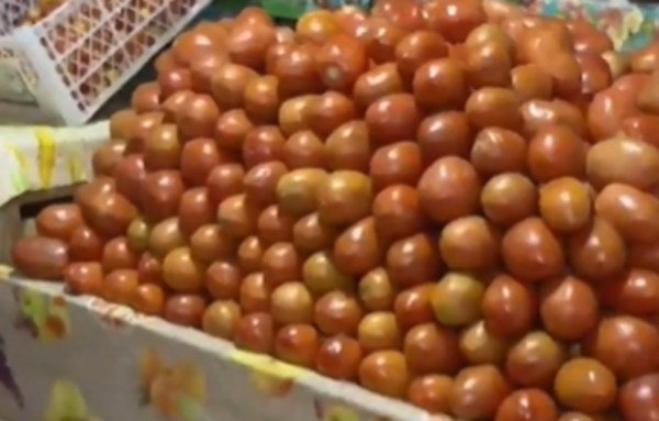 El precio del tomate por las nubes - SNT
