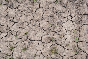 Estiman que La Niña emerja con probabilidad del 72 %