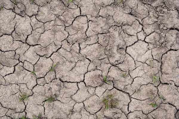 Estiman que La Niña emerja con probabilidad del 72 %