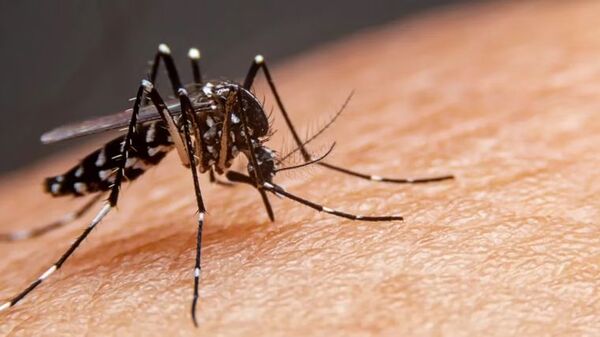 San Lázaro declaró emergencia sanitaria por aumento de casos de dengue - trece