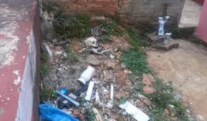 Deplorable abadono: hasta cráneos expuestos en el Cementerio del Este
