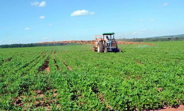 Alerta por La Niña: crisis por déficit de lluvias ya está vigente y amenaza la campaña agrícola - Economía - ABC Color