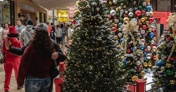 La Nación / Bélgica: piden no comer árboles de Navidad