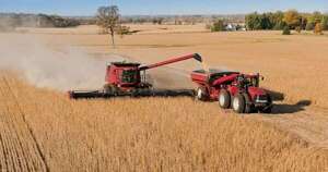 La Nación / Mantienen estimaciones de 10,5 millones de toneladas de soja para esta zafra
