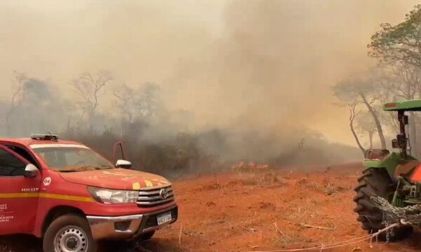 Infona reporta más de 10.000 hectáreas afectadas por incendios forestales