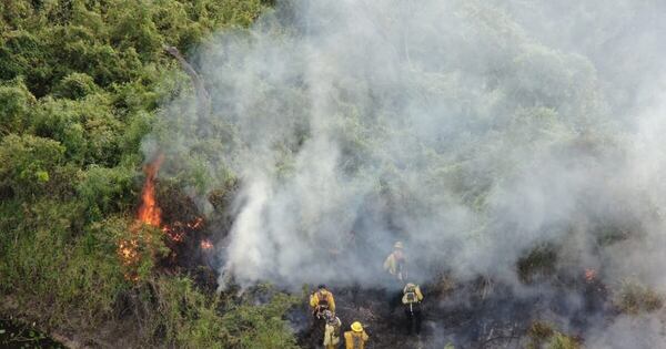 Diario HOY | Reportan más de 10 mil hectáreas afectadas por incendios en todo el país