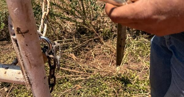La Nación / Denuncian que mujer y trabajadores fueron amenazados por una herencia en Yhú, Caaguazú