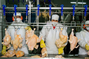 Exportaciones de carne aviar también cerraron el 2024 en positivo debido a mejores precios | Agronegocios | 5Días
