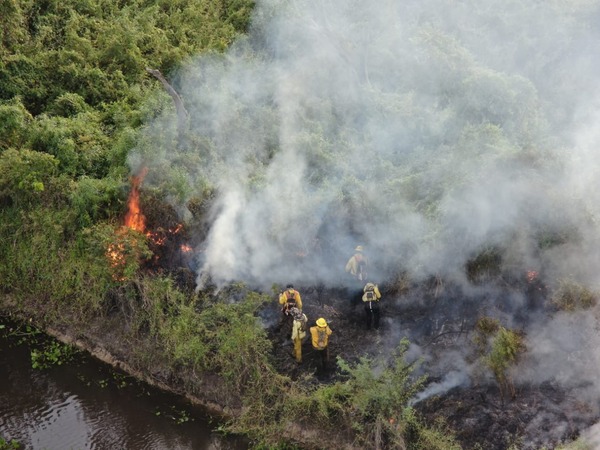 INFONA reporta más de 10.000 hectáreas afectadas por incendios en enero de 2025 - ADN Digital