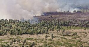 La Nación / Activan operativo interinstitucional para dar con responsables de incendios