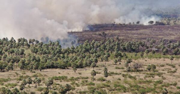 La Nación / Activan operativo interinstitucional para dar con responsables de incendios