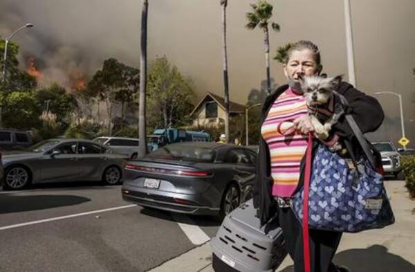 ¡Terrible! evacuaciones masivas y lucha contra los incendios en Los Ángeles