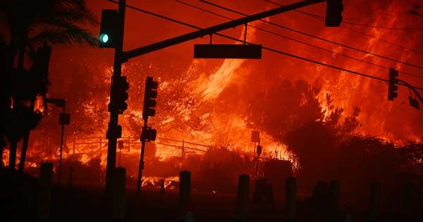 La Nación / El infierno en Los Ángeles - OJO Galería