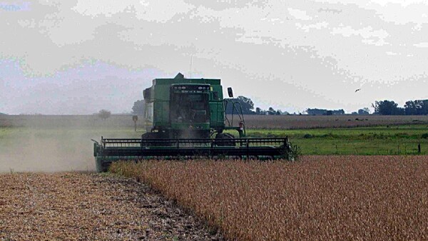 Falta de lluvias y calor arriesgan el comercio y la producción nacional