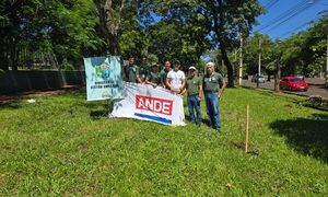 ANDE realizó arborización con varias especies nativas en espacio público de Ciudad del Este – Diario TNPRESS