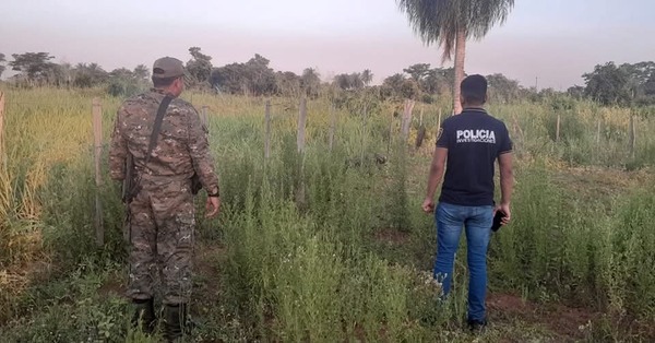 Hallan cuerpo de un hombre que estaba desaparecido en Concepción - 1000 Noticias