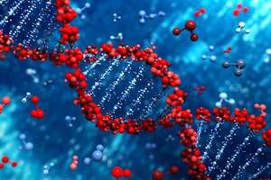 Dominioma Humano: base de datos que permite saber la causa de enfermedades hereditarias - Ciencia - ABC Color