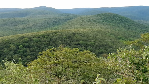 Paraguay, among the first countries to present its climate transparency report - .::Agencia IP::.