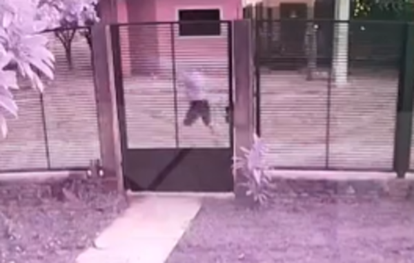Asaltante solitario aterroriza a vecinos de Luque - SNT