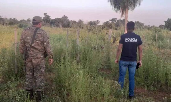 Hallan cadáver de sexagenario desaparecido en Concepción – Prensa 5