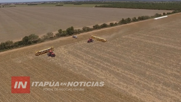 PREOCUPA EL IMPACTO DE LA SEQUÍA EN LA ZAFRA SOJERA 2024/2025 - Itapúa Noticias