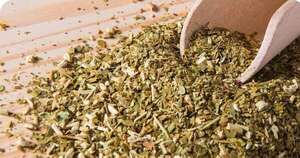 Yerba mate, un símbolo paraguayo que se impone en 27 mercados