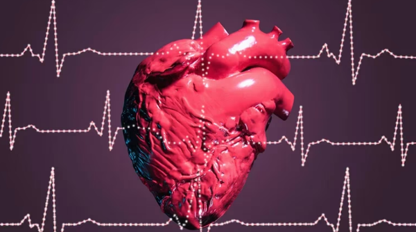 ¿Cuál es la fruta llena de antioxidantes que ayuda a prevenir las enfermedades cardíacas?