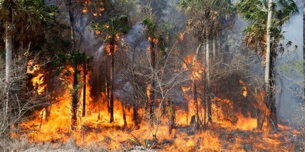 Bomberos preocupados por incendios: hoy “quemar es matar” - Portal Digital Cáritas Universidad Católica