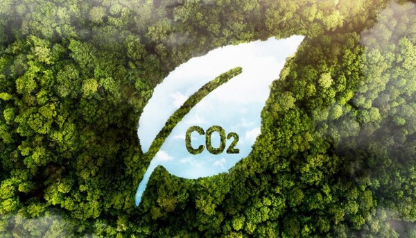 “Las empresas sin compromiso medioambiental no van a poder vender en los grandes mercados” | Locales | 5Días