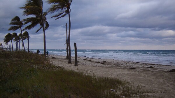 Seguridad en vacaciones: Qué hacer si se desata una tormenta en la playa