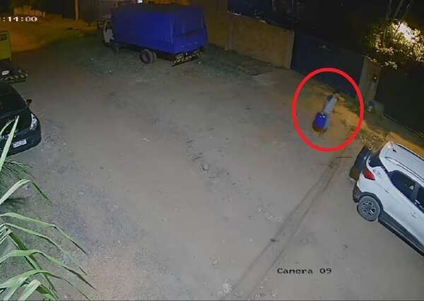 Video: así robaron combustible de un camión en Capiatá - Policiales - ABC Color