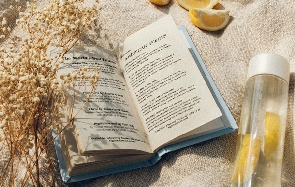 Cuatro libros para el verano