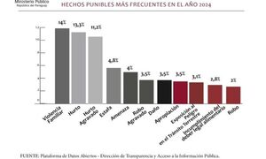En el 2024, los hechos punibles más denunciados fueron violencia familiar, hurto y estafa – Diario TNPRESS